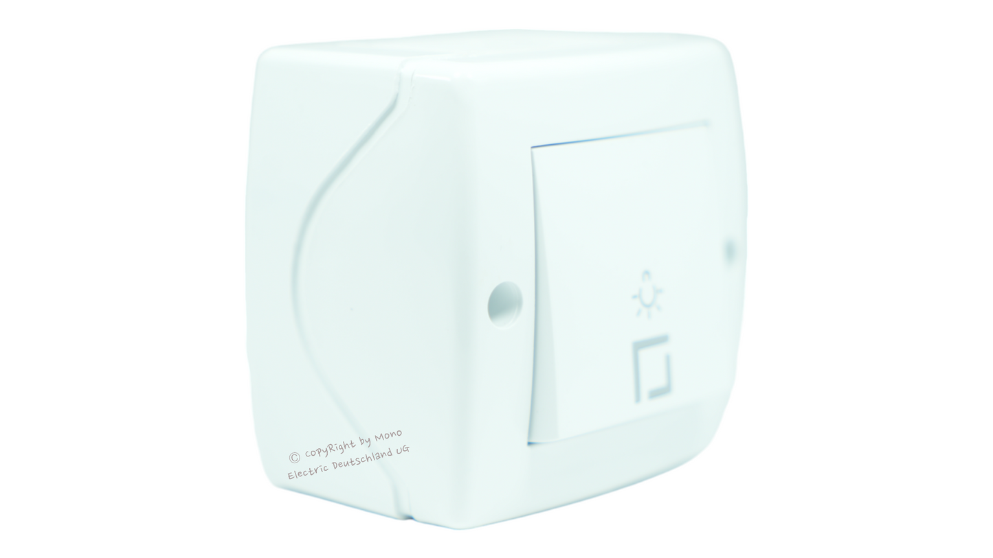 Taster mit Lichtsymbol