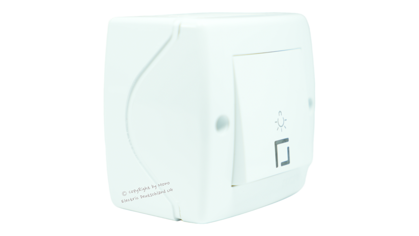 Taster mit Lichtsymbol LED