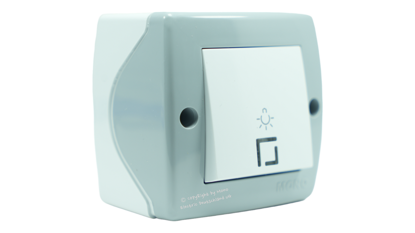 Taster mit Lichtsymbol LED