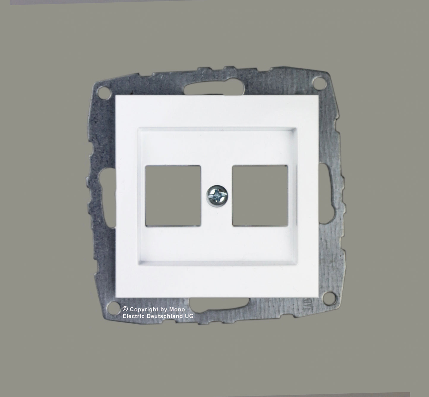 Datendose 2-Fach (leer)