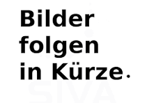 Schutzkontakt Stecker